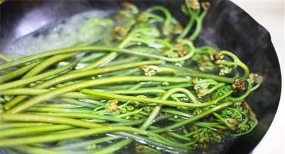 蕨菜的食用禁忌