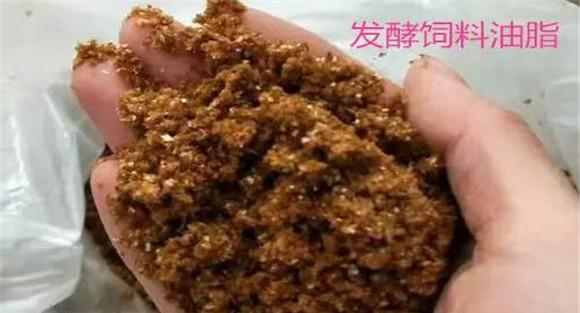 饲料中添加油脂有什么作用