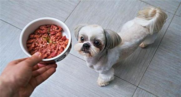 犬饲料中为何要添加铁、铜等微量元素