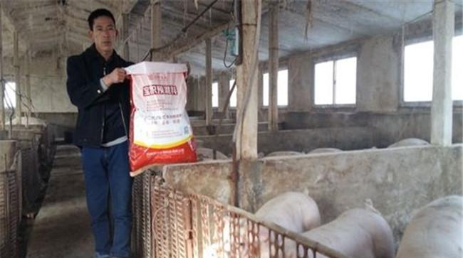 养猪为什么要选择配合饲料