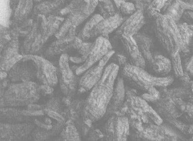 西洋参的功效与作用