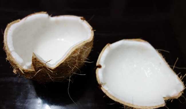 椰子的功效与作用