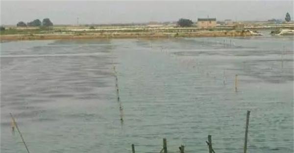 池塘水质管理的原则要求