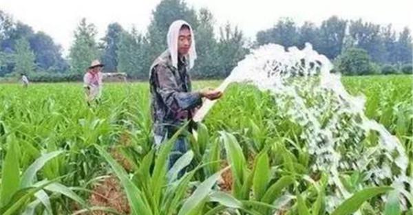 追肥浇水