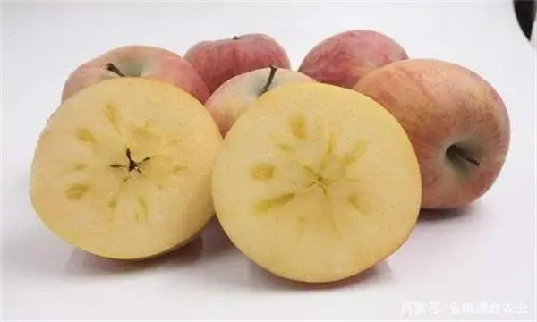 苹果水心病和糖心的区别