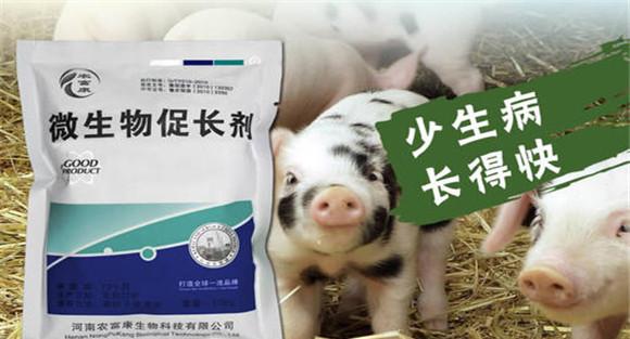 药物饲料添加剂合理应用的建议