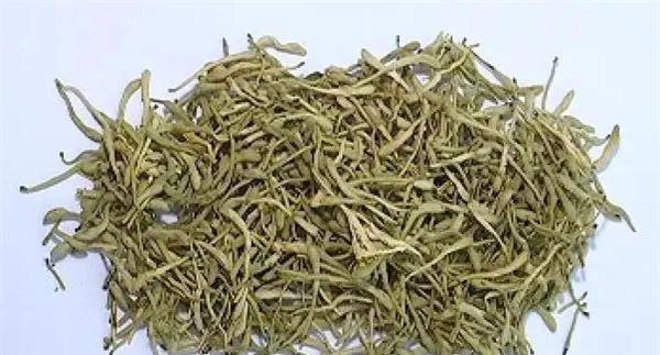 如何科学饮用金银花茶