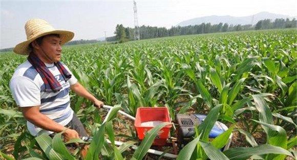 玉米追肥用什么肥好