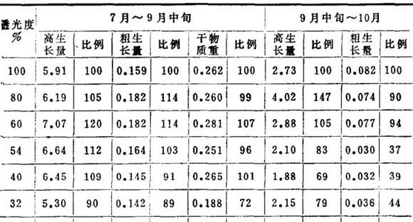 杉木对光照的要求怎样
