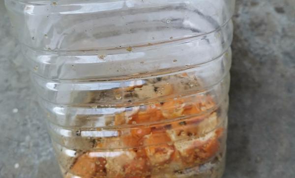 黄豆沤肥怎么才能不臭