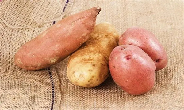 甘薯的食用价值