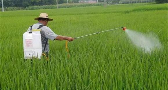 雨季施用农药要注意事项