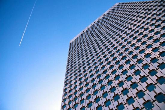 嫁接—果树改良的可靠技术