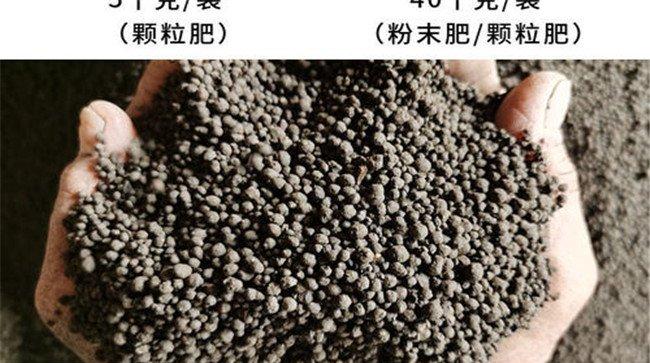 羊粪的用途与价值有哪些