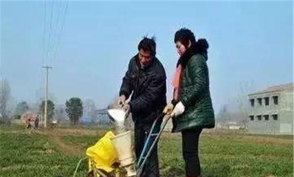 尿素不要作拌种肥