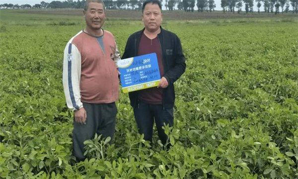 冲施肥施用效率