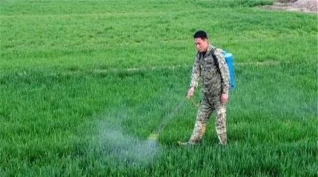 打草铵膦需要注意什么