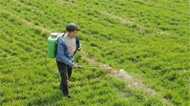草铵膦的主要作用机理