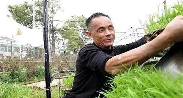 品种搭配
