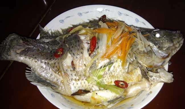 罗非鱼的功效与作用