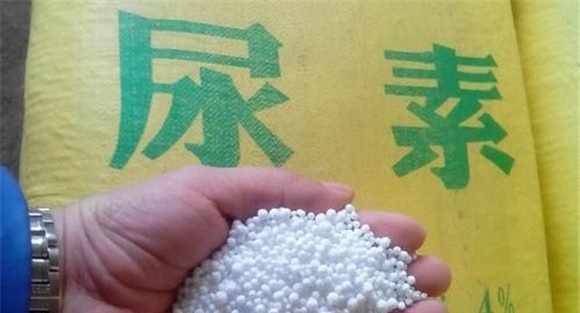 尿素如何使用效果最好