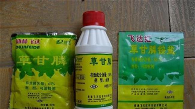草铵膦与草甘膦的区别