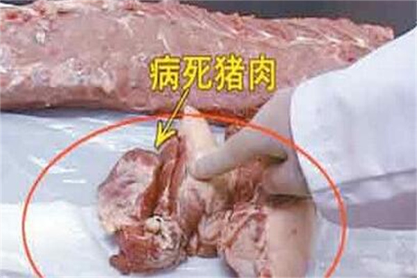如何识别病死猪肉
