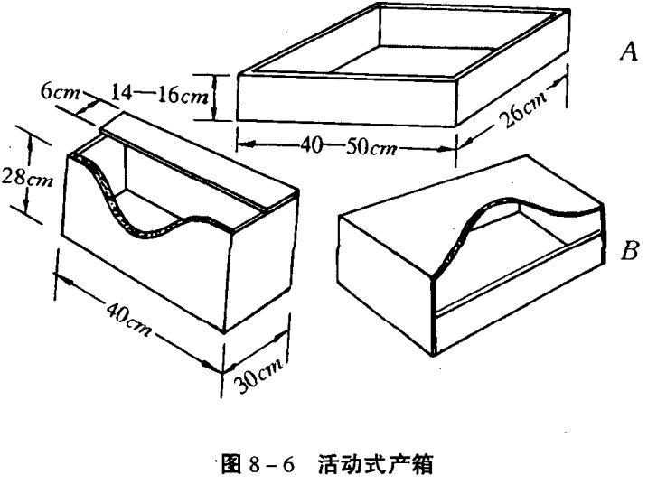 如何养兔