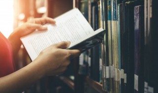 陈皮的功效、药性与临床应用
