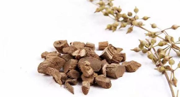 川牛膝食用方法举例