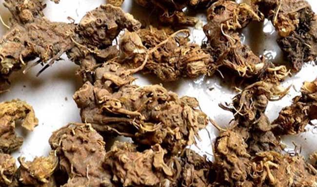 川射干的功效与作用