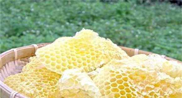 蜂房的功效