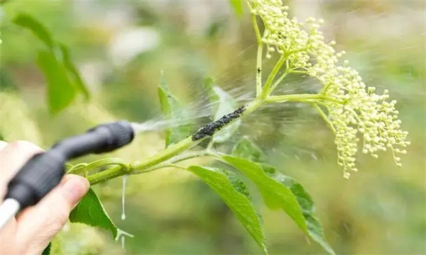 农药对天敌及其他生物的影响