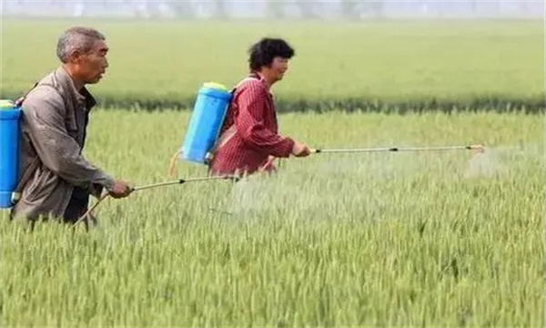 农药对天敌及其他生物的影响