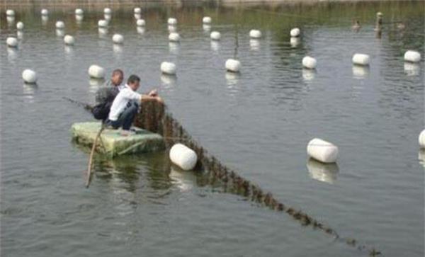 河蟹质量和数量要求