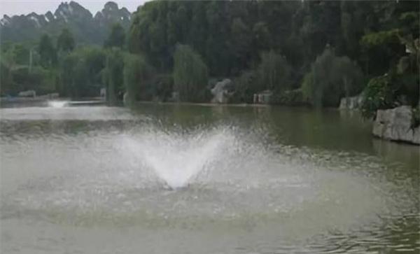 日常管理要求