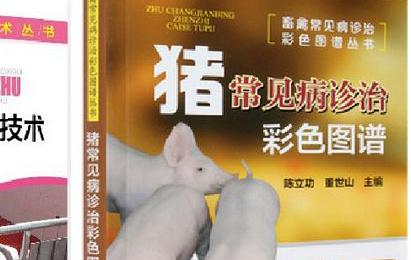 猪常见病防治技术