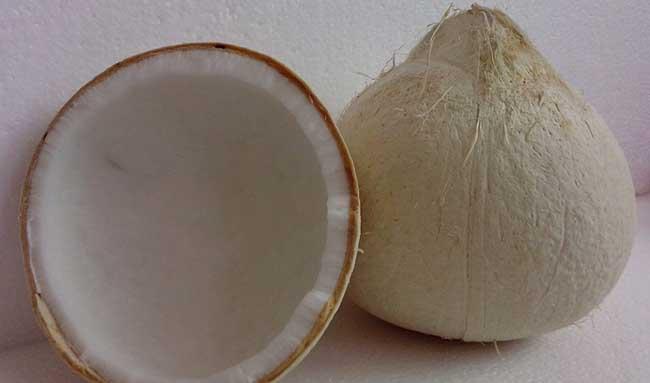 椰子的功效与作用