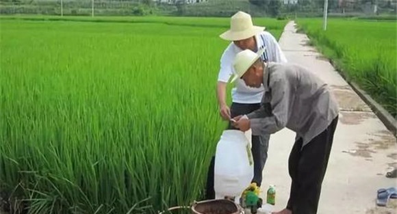 农药混用先后顺序要求