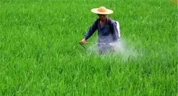 农药混用主要有哪些方式