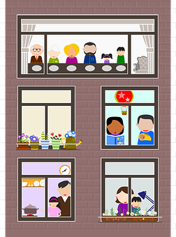 黄芪的生长习性及其生物学特征