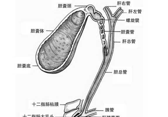 聚焦三农
