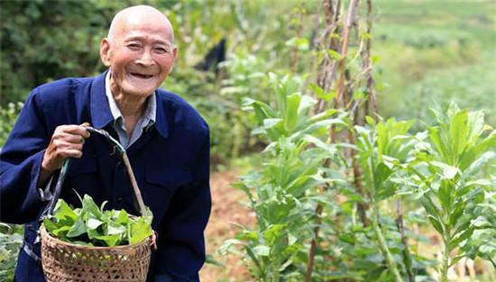 蔬菜具有某种特效成功能