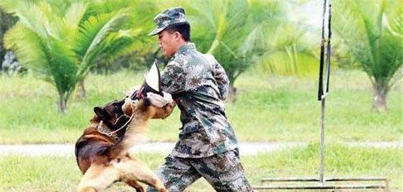 因犬制宜，区别对待的原则