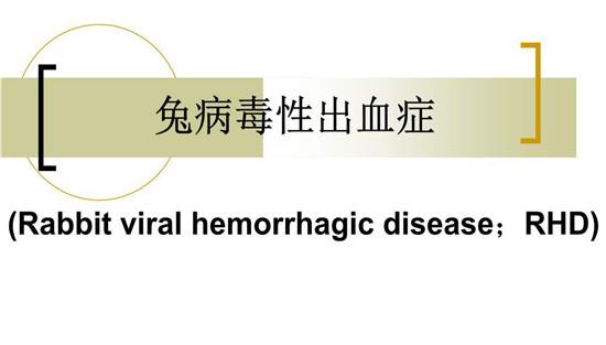 兔病毒性出血症