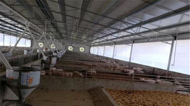 发酵床养殖技术应用失败原因分析