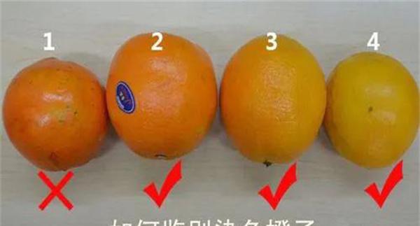 如何鉴别染色的橙子