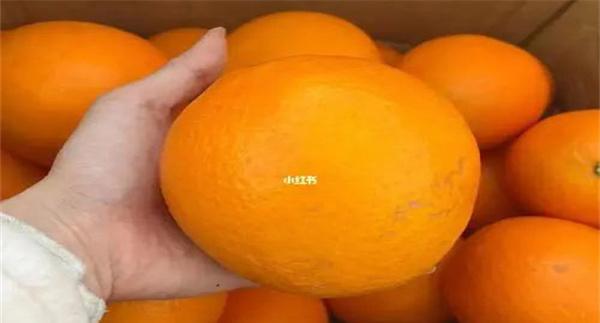 如何鉴别染色的橙子
