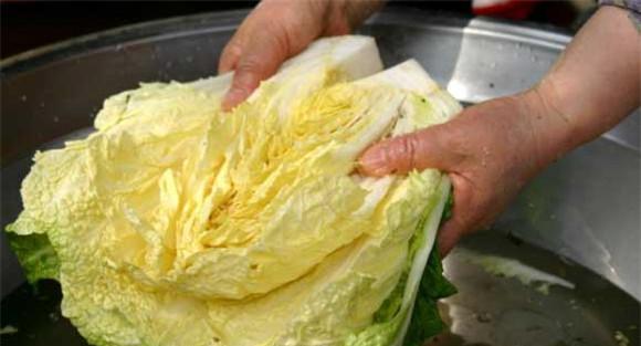 泡菜的腌制方法