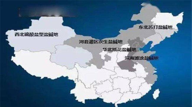 我国盐渍化土地的分布